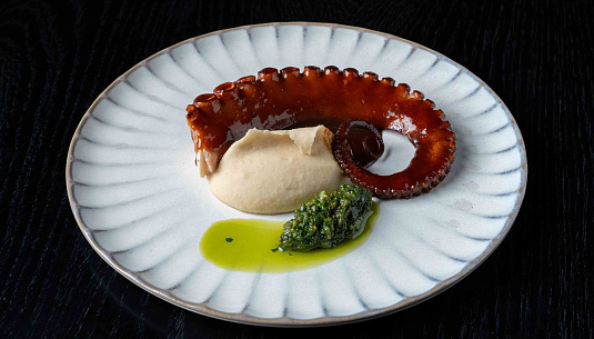 Осьминоги в Петербурге. Все, что нужно знать